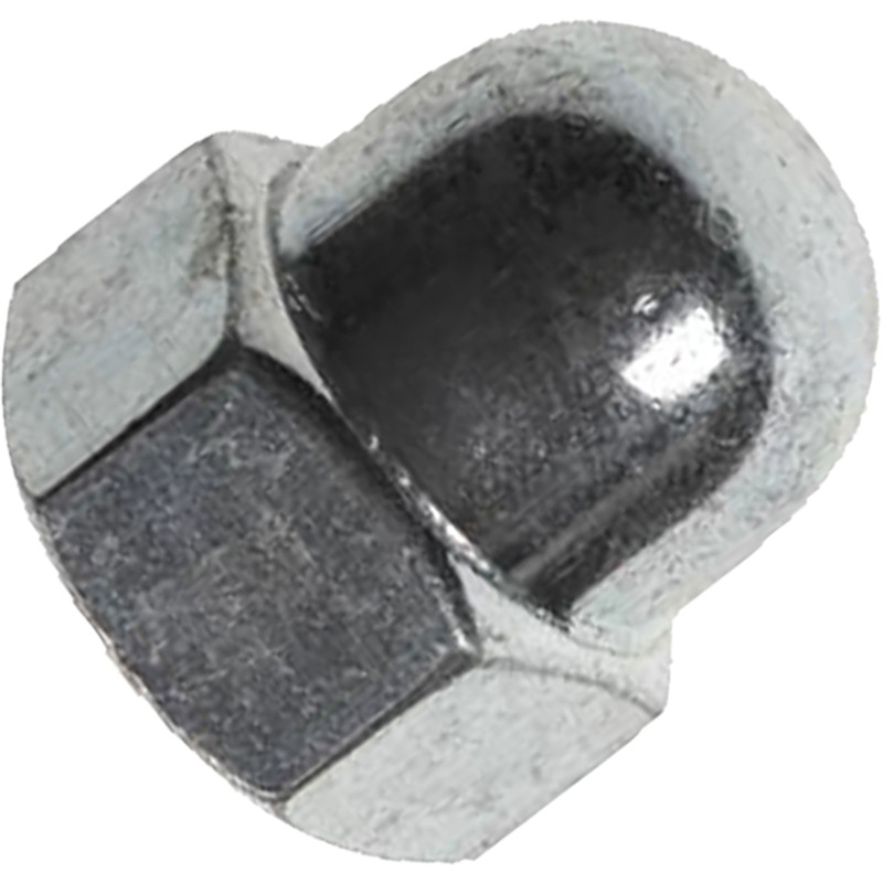 MOER BOLKOP / M6 INOX